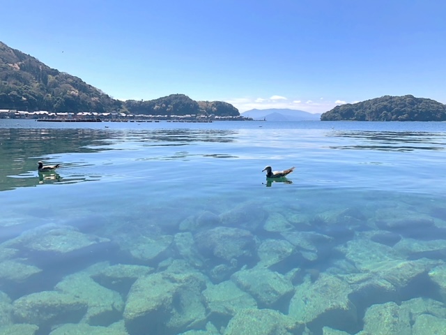 【海宮】8月の予約 受付開始致しました！